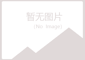 上思县冰夏建筑有限公司